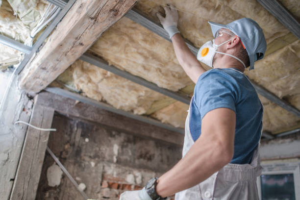 Best DIY Insulation Kits and Guidance in Wyanet, IL