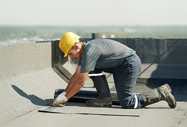 Best Cellulose Insulation in Wyanet, IL