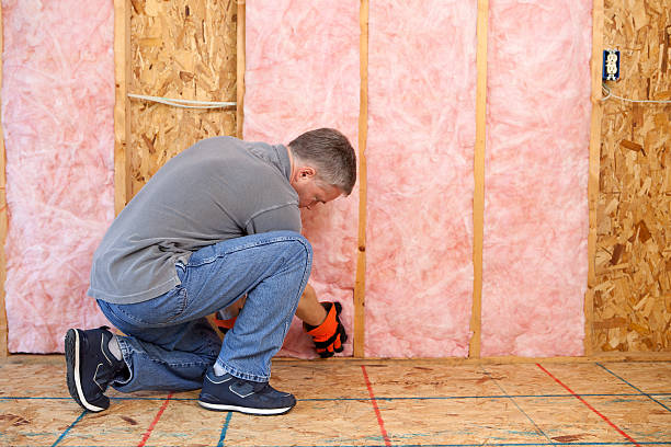 Best Blown-in Insulation in Wyanet, IL
