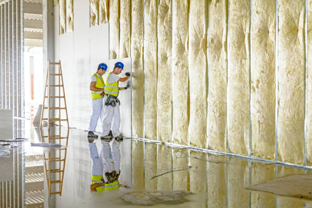 Best Insulation for Specific Applications in Wyanet, IL